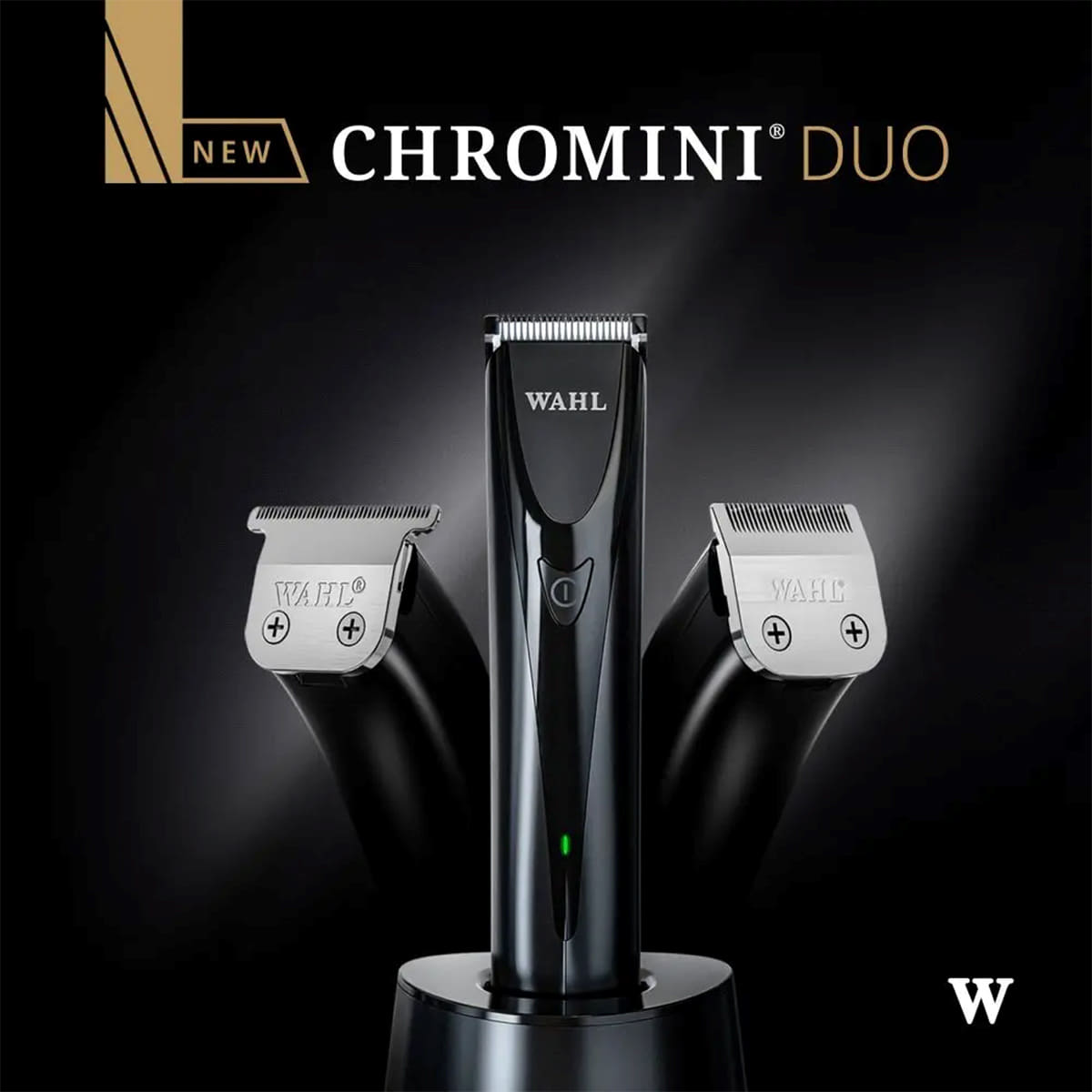 ChroMini Duo