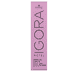 Igora