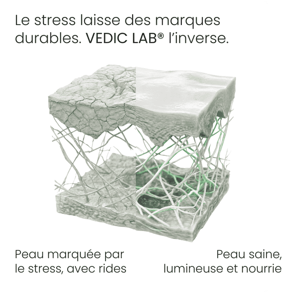 Crème de jour énergisante