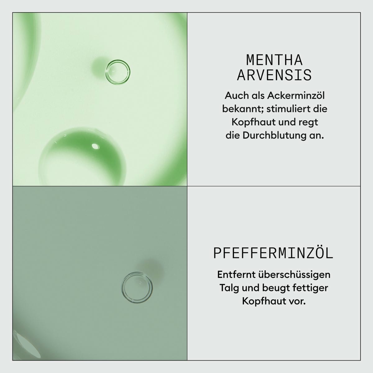 Dermabrasion Scalp Renew Treatment