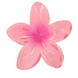 Frangipani Set Haarklammern & Clip