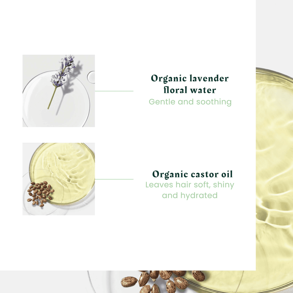 Shampooing Micellaire Bio