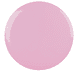 Cake Pop