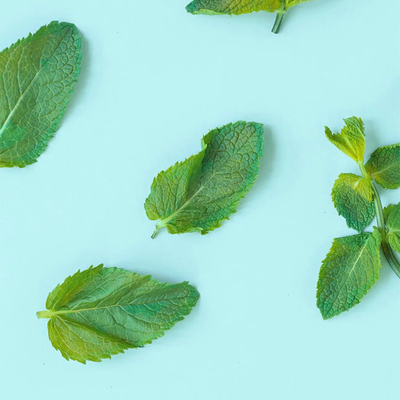 Filo Interdentale alla Menta 50 m
