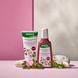 Farbschutz-Conditioner mit Wildrose