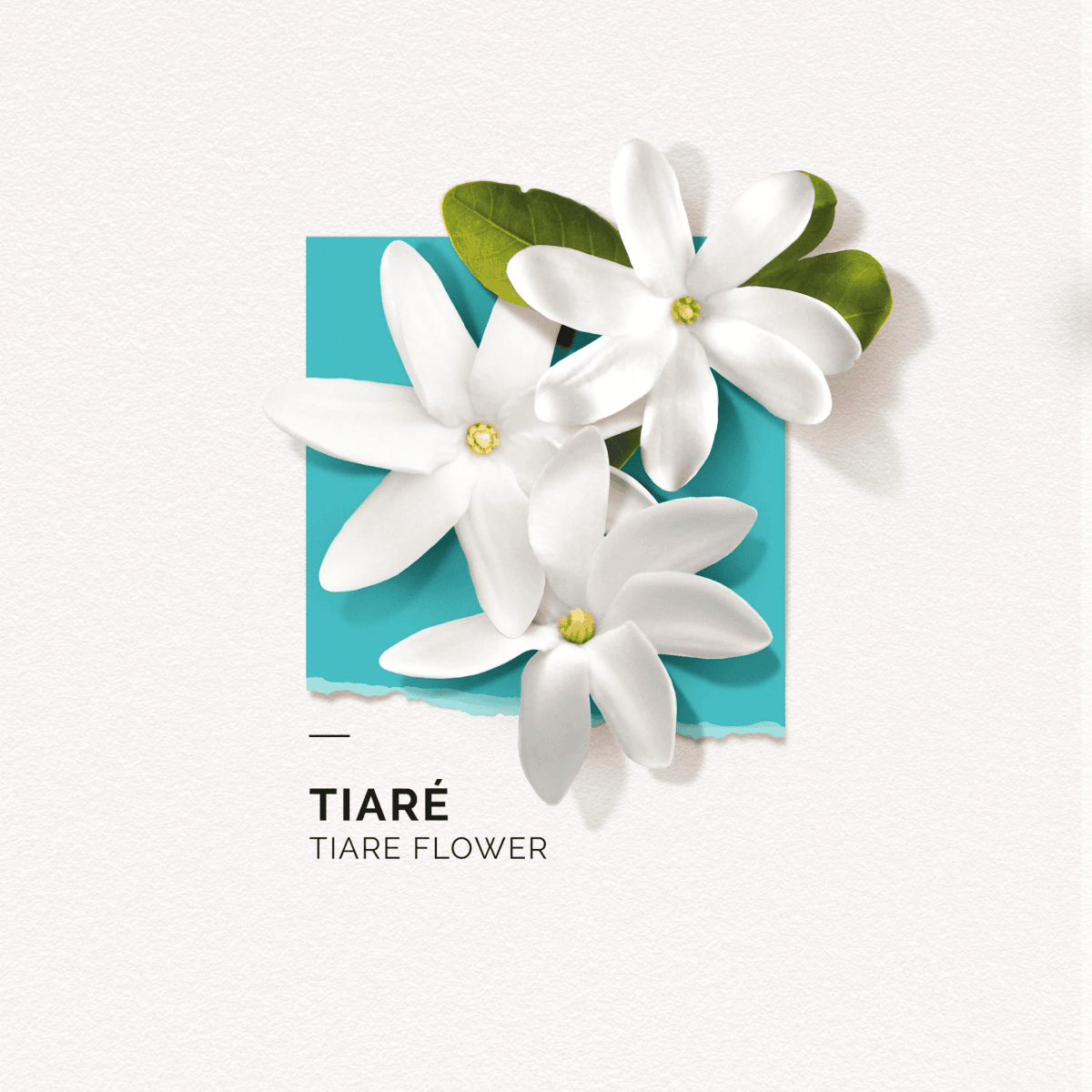Eau de Parfum Tiaré