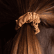 Vegan Scrunchie narrow Camel