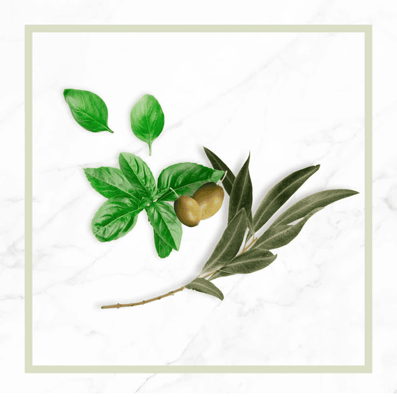 Riparazione Reparierendes Festes Shampoo