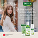 Anti-Pollution-Set Schweizer Apfel