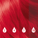 Temporary Colour Drops