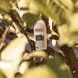 Vitalisierendes Deo Roll-on