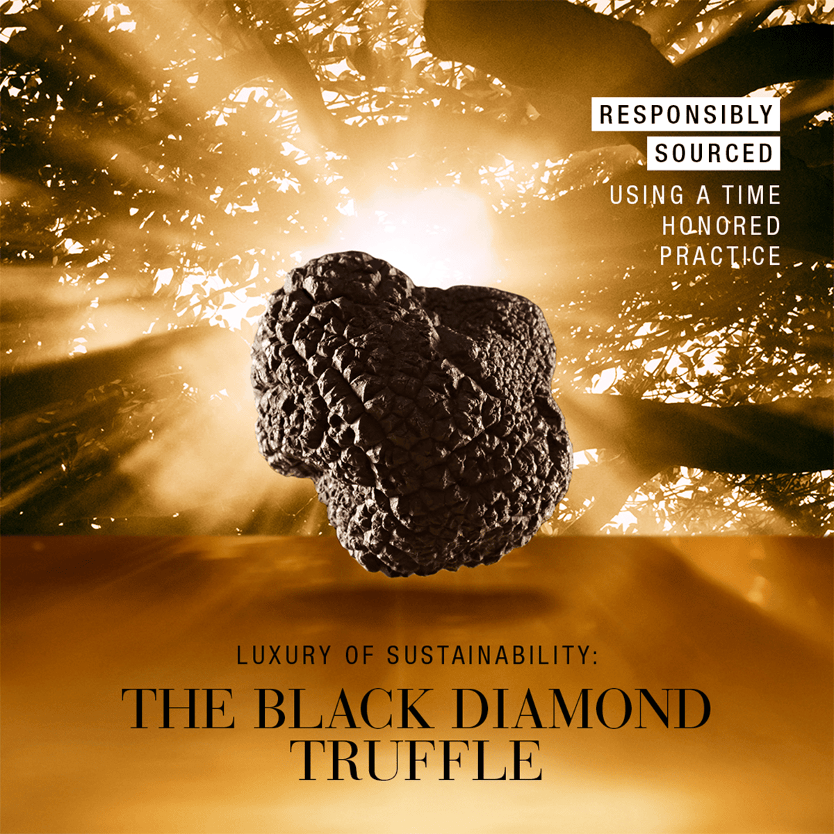 Ultimate Diamond Sculpted Transformation Cream