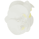 Orchid Clip - White