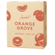 Christmas Box - Orange Grove