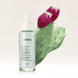 BK Opuntia Cactus Intense Hydrator