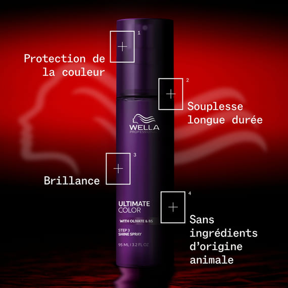Shine Spray 