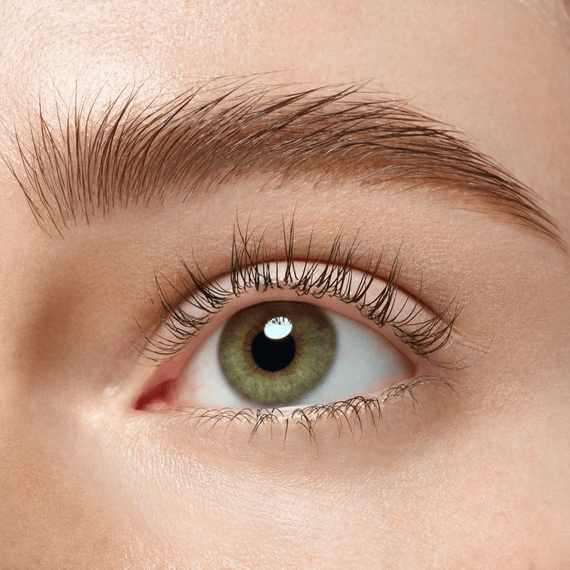 Brow Powder Duo Set