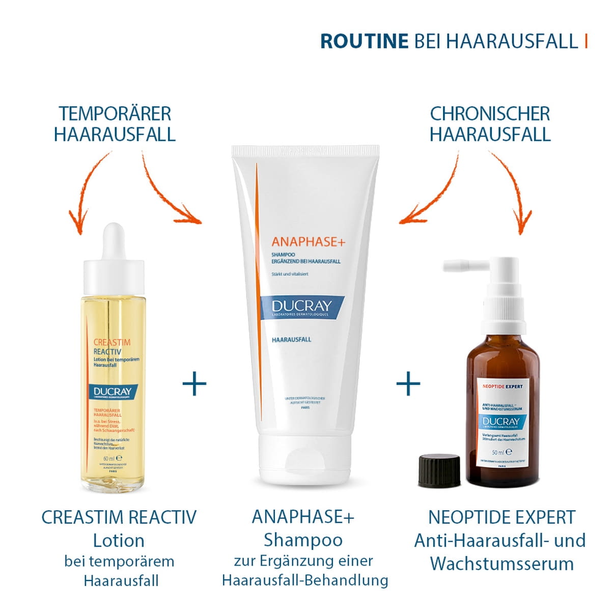 Chronic Shampoo bei chronischem Haarausfall - dünner werdendes Haar
