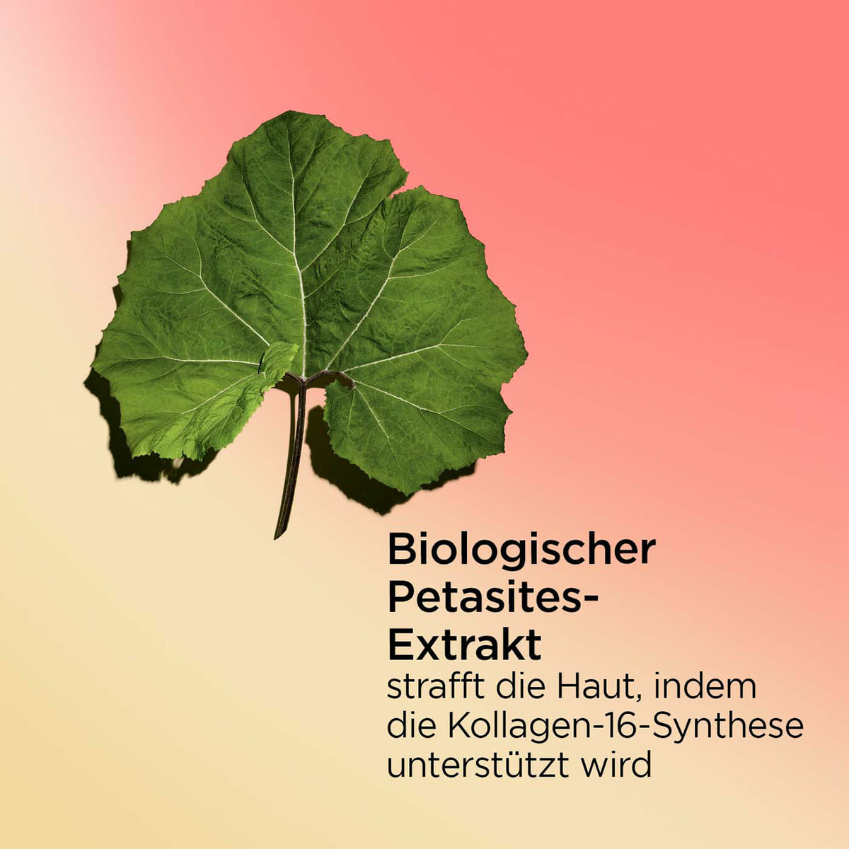 Body Firming - Festigende und straffende Körpercreme