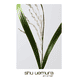 Ultimate Reset Extreme Repair Treatment