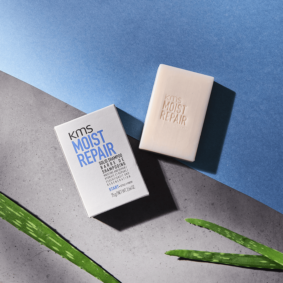 Solid Shampoo