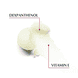 Lip Active LSF 20