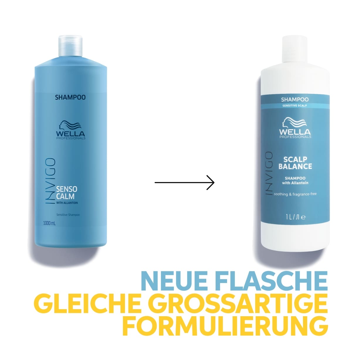 Calm Shampoo