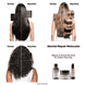 Absolut Repair Molecular Bi-Phase Oil