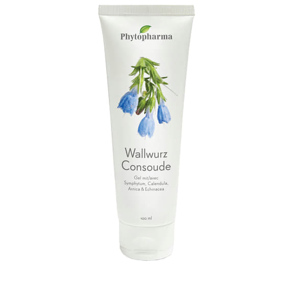 Gel Wallwort