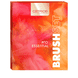 Pro Essential Brush Set