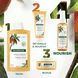 Nourishing Hair Oil for Dry Hair with Mango