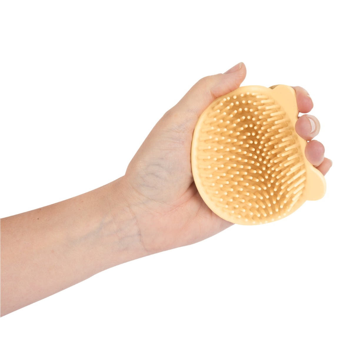 Set Bagno con Spazzola per il Corpo