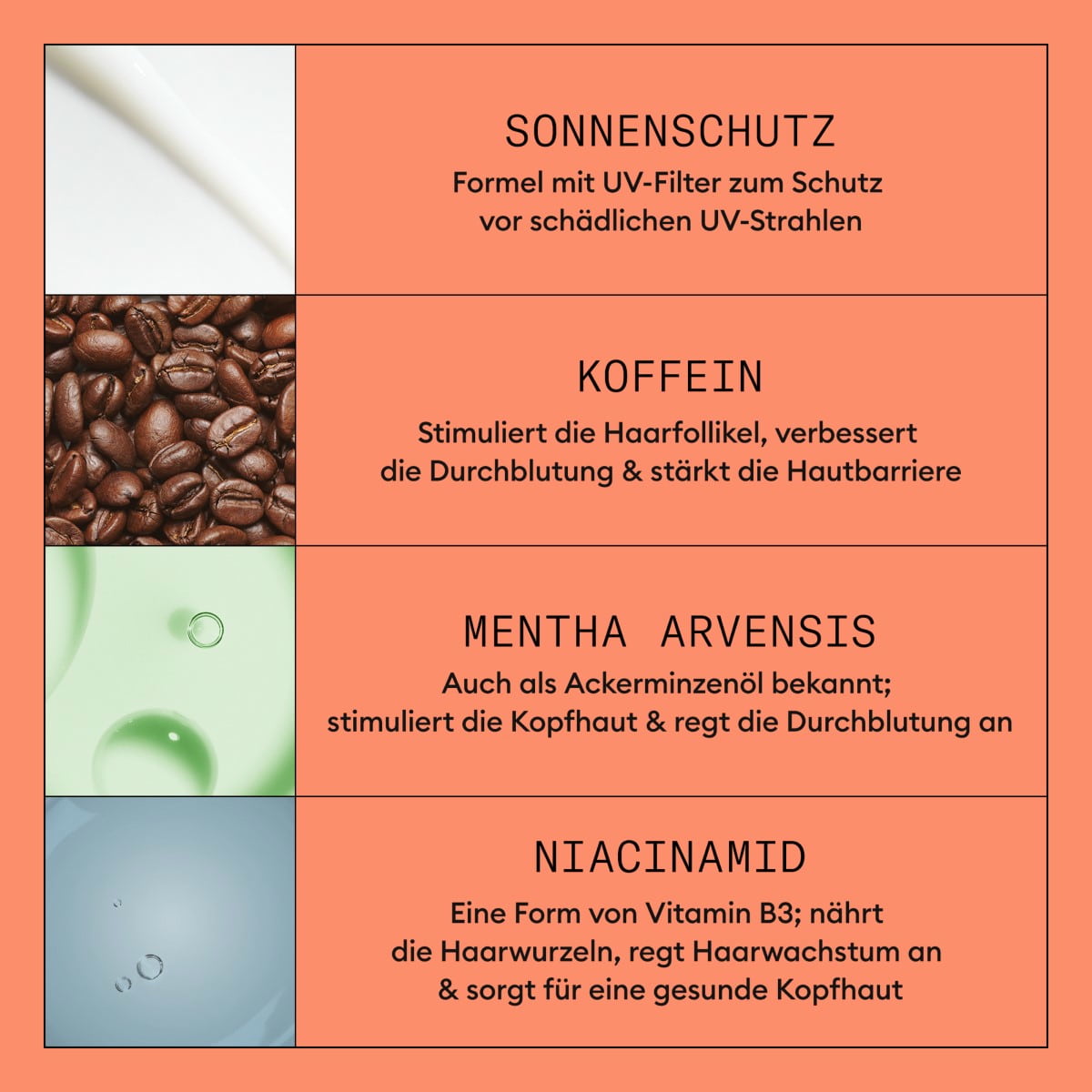 Scalp + Hair Treatment