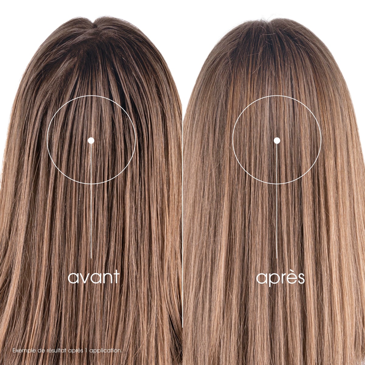 Shampooing Sec pour Cheveux Gras