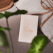 Solid Shampoo