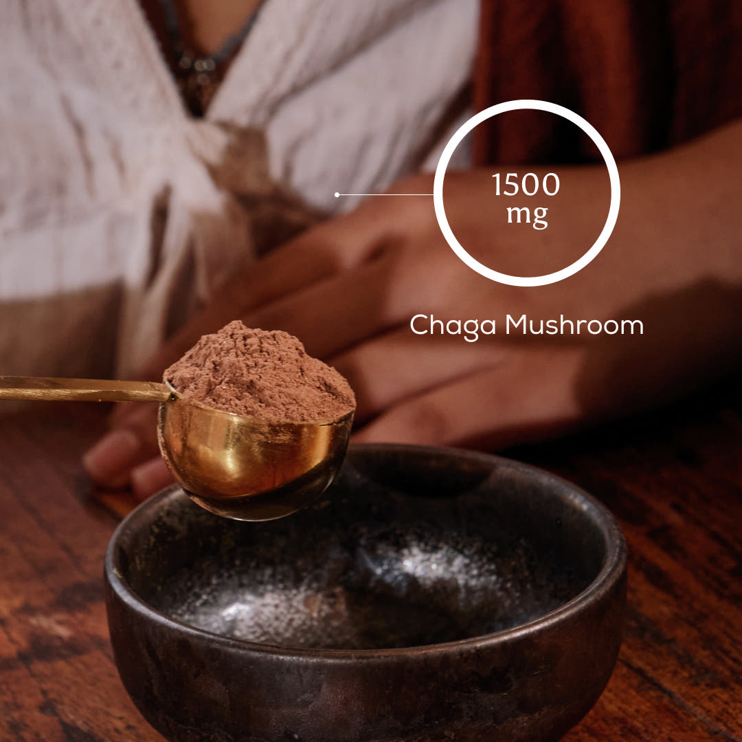 Cacao + Chaga Tub