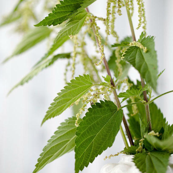 Aromatic Hand Cream