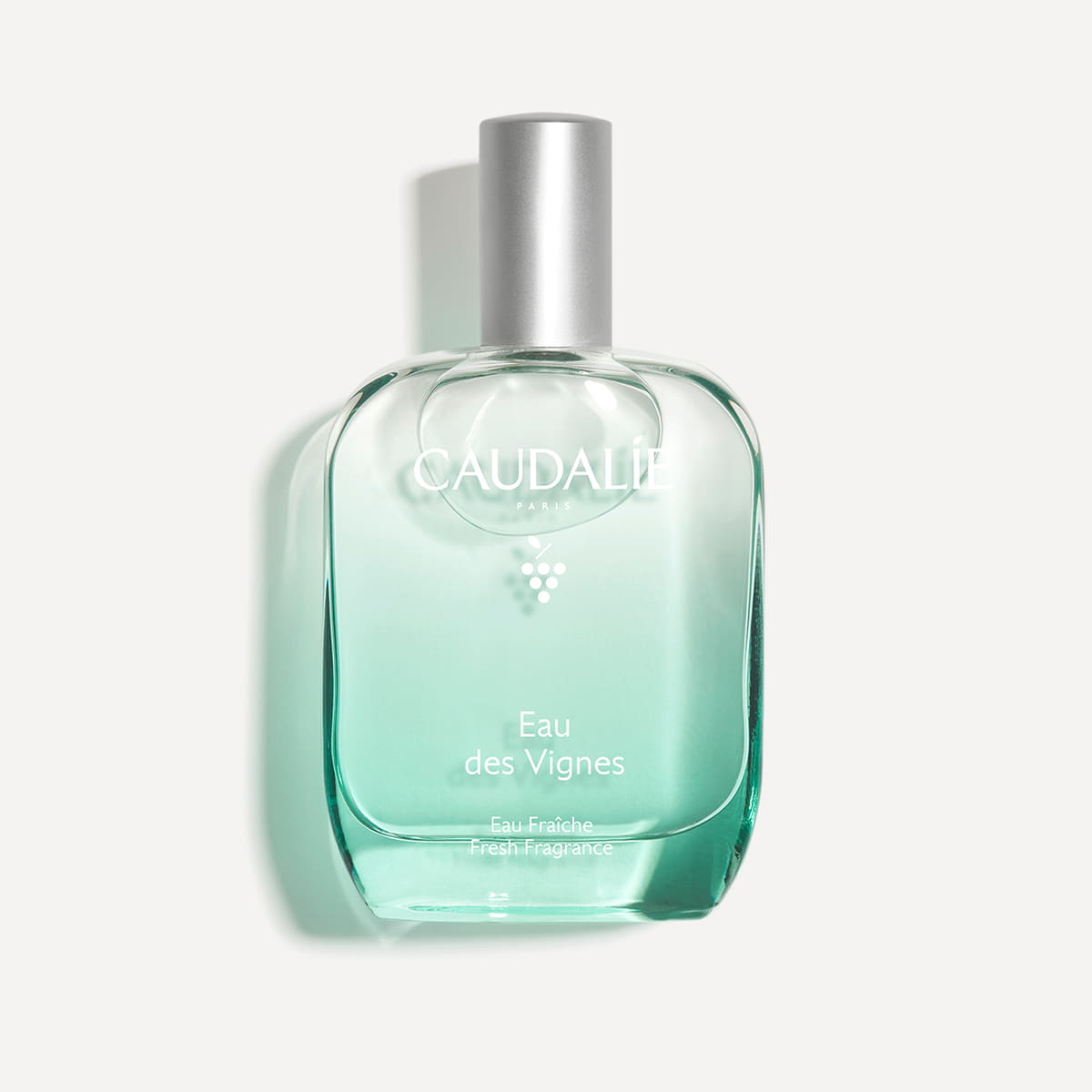 Fresh Fragrance