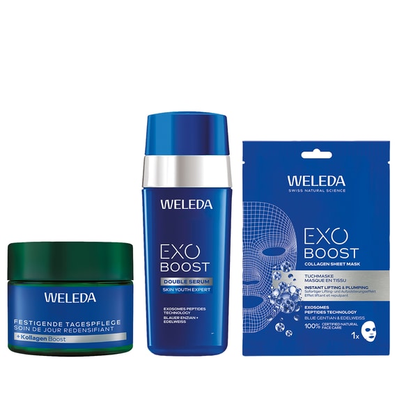 Set Genziana blu & Edelweiss