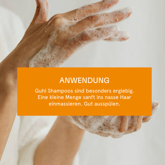 Feuchtigkeit & Glanz Shampoo