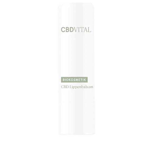 CBD Lippenbalsam