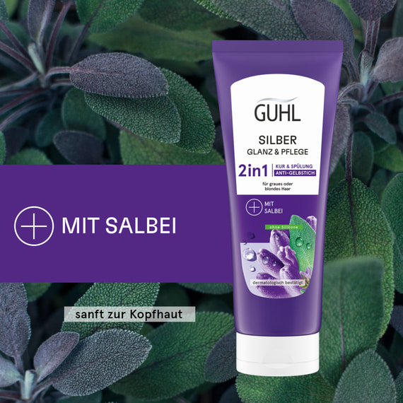 Silber Glanz & Pflege 2in1 Anti-Gelbstich Kur & Spülung
