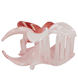 Clip Hawaii - Bianco-Rosa-Rosso