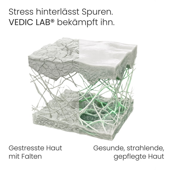 Sleep Recovery Nachtserum