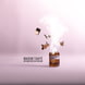 VaneXstasy Eau de Parfum