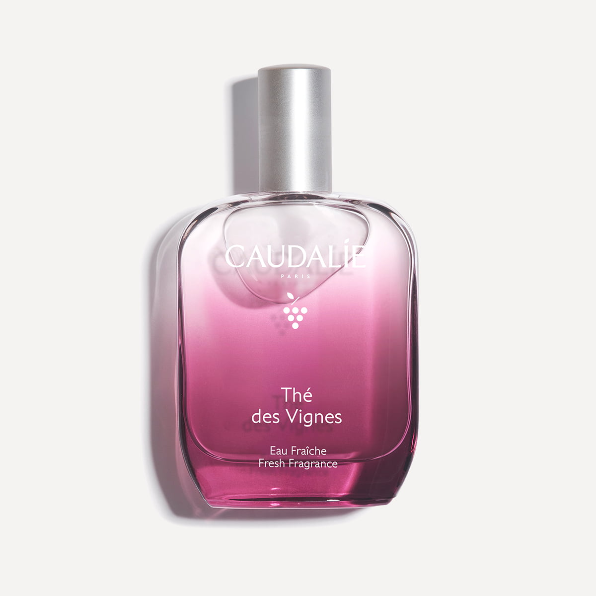 Fresh Fragrance
