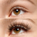 False Lashes - 04 Dramatic Length