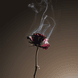 Rose Palezia Extrait de Parfum