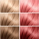 Cream French Rose
