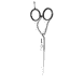 Diamond 5.5 Hair Scissors